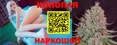 крисы Бердск