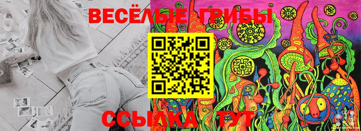 Галлюциногенные грибы Cubensis  Галлюциногенные грибы Cubensis  Камень-на-Оби  Вход с VPN 