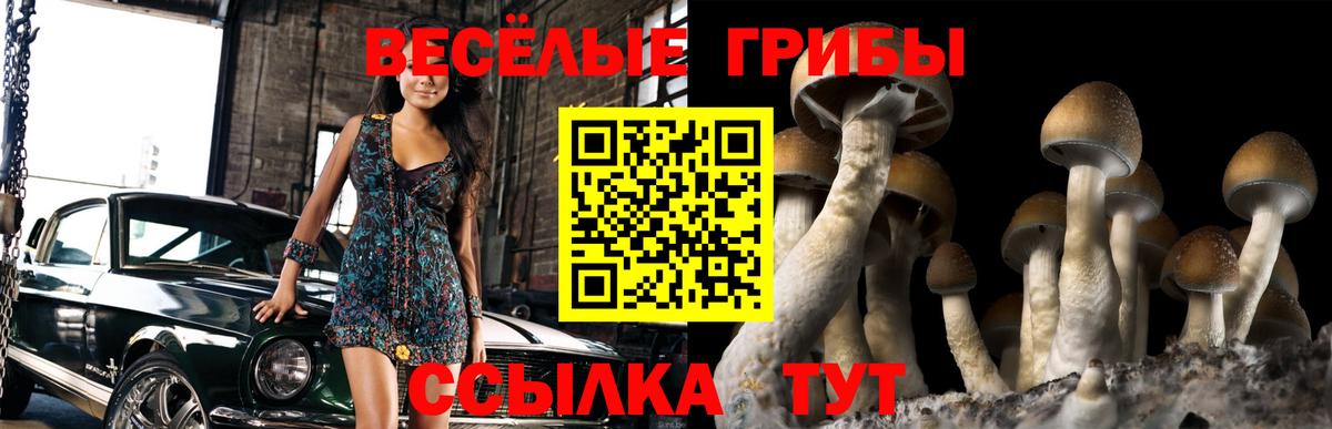 Галлюциногенные грибы прущие грибы Камень-на-Оби